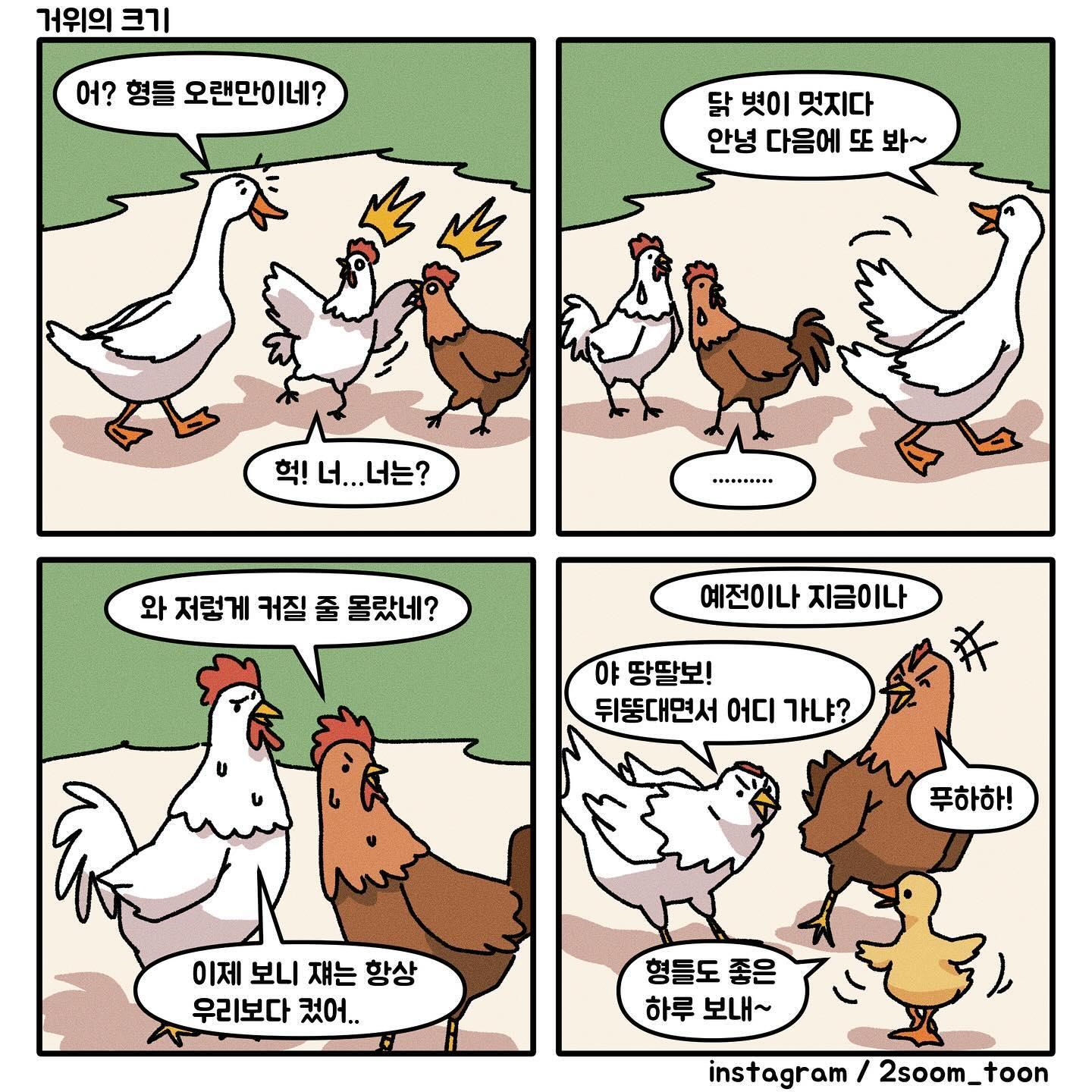 퀘이사존