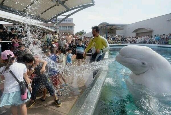 Screenshot 2024-05-07 at 17.24.30.JPG