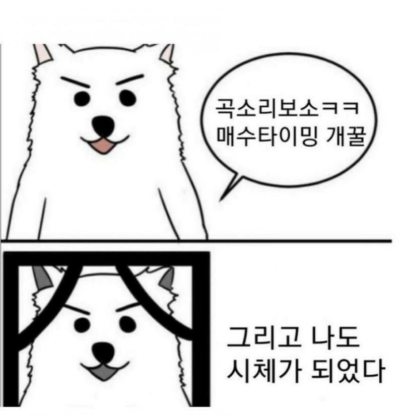 다운로드 (1).png