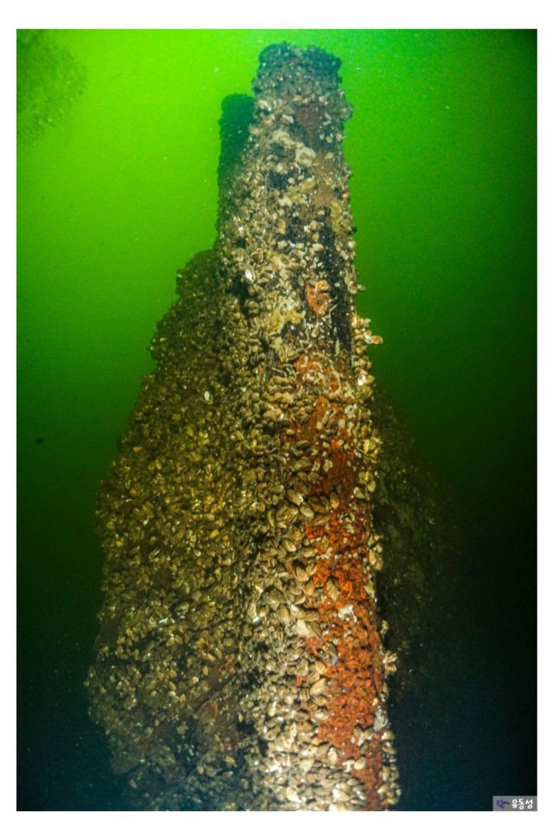 Screenshot_20240916_004742_Samsung Internet.jpg