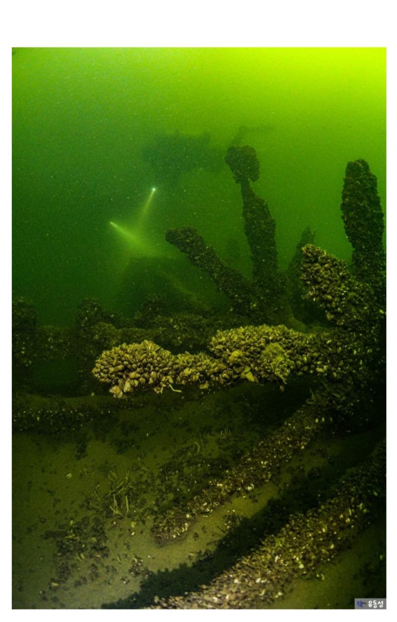 Screenshot_20240916_004844_Samsung Internet.jpg