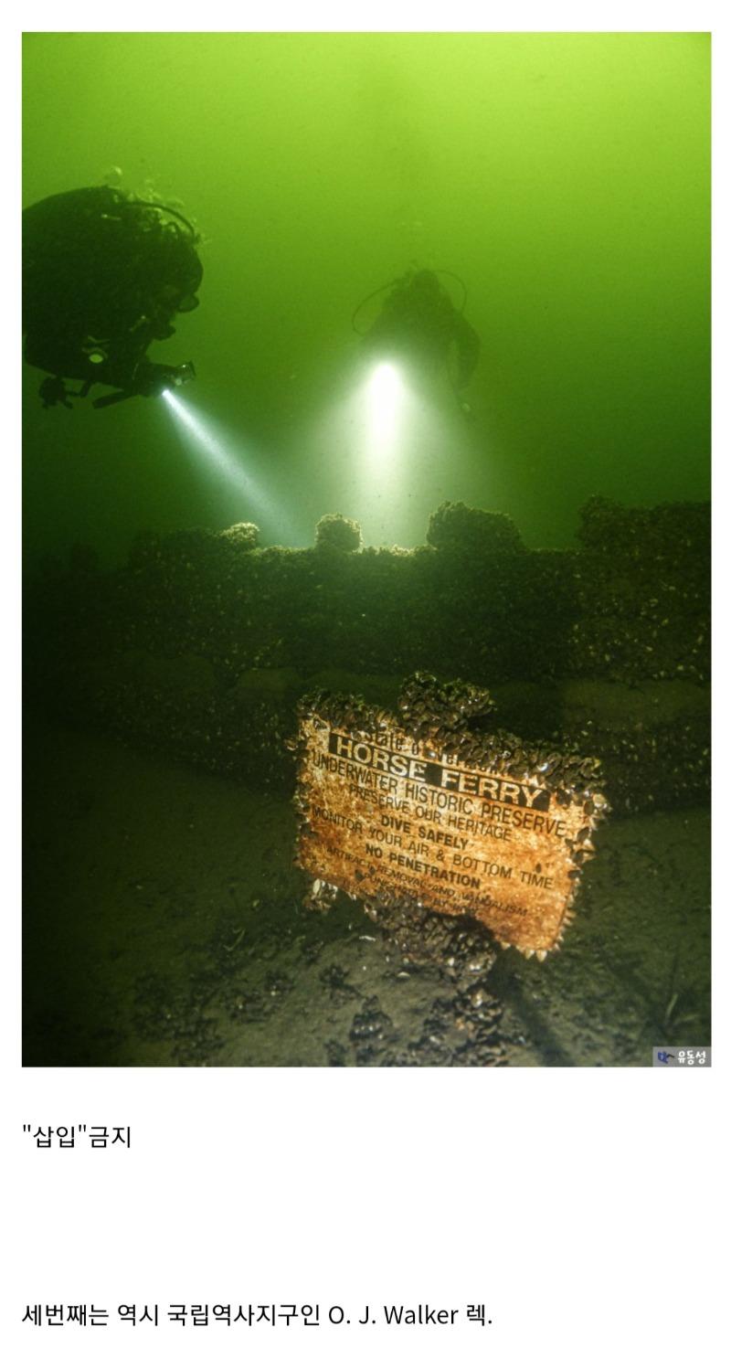 Screenshot_20240916_004859_Samsung Internet.jpg