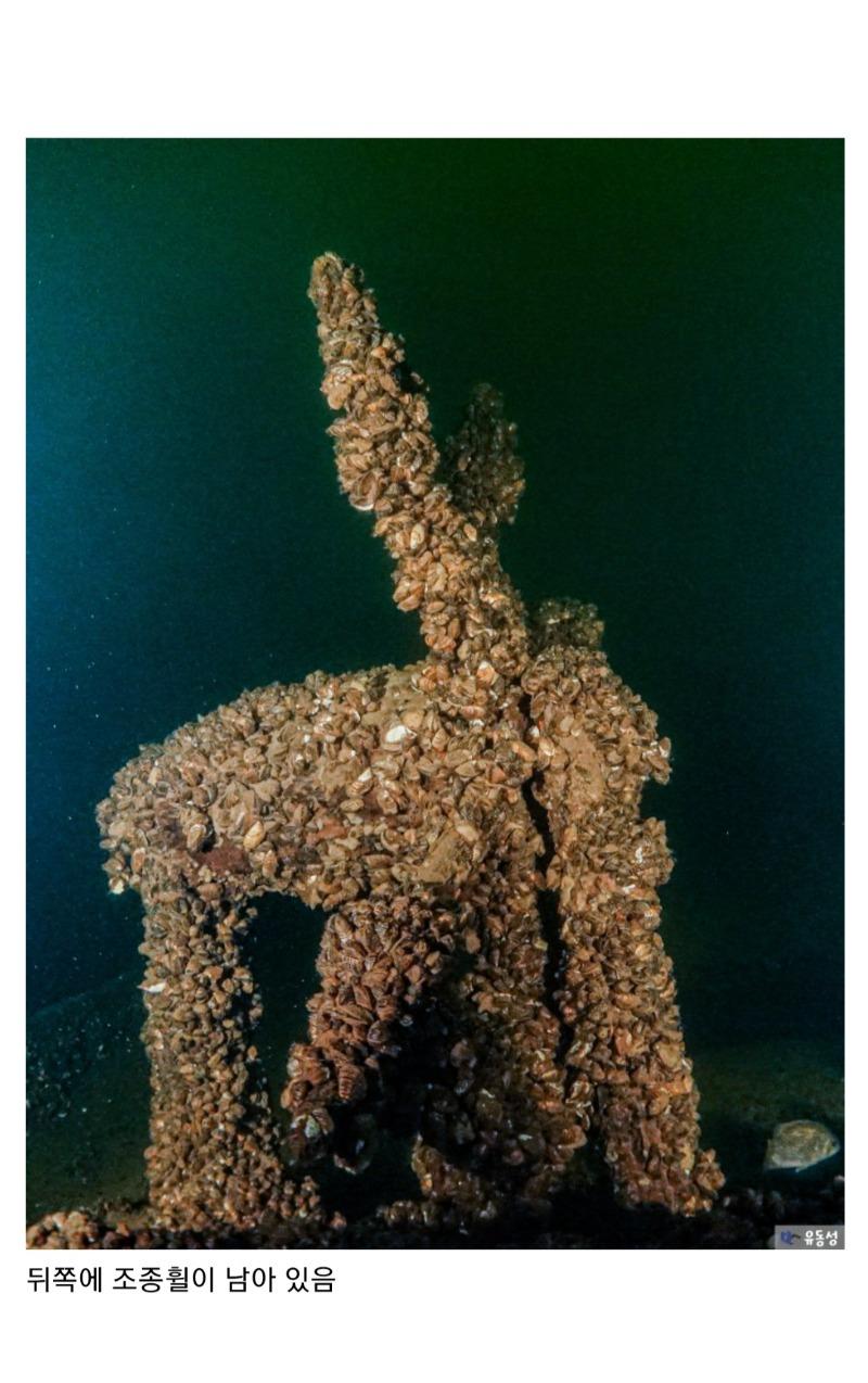 Screenshot_20240916_004947_Samsung Internet.jpg