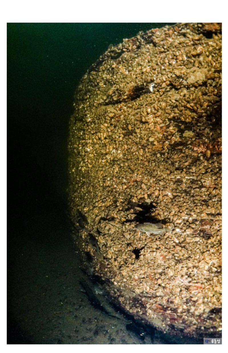 Screenshot_20240916_005035_Samsung Internet.jpg