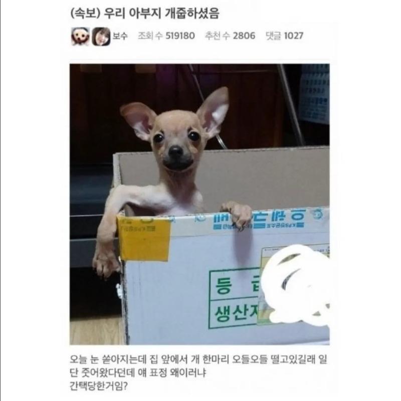 Screenshot 2024-11-14 at 17.34.47.JPG