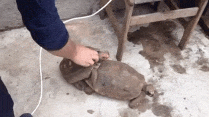 인간이 미안해1.gif