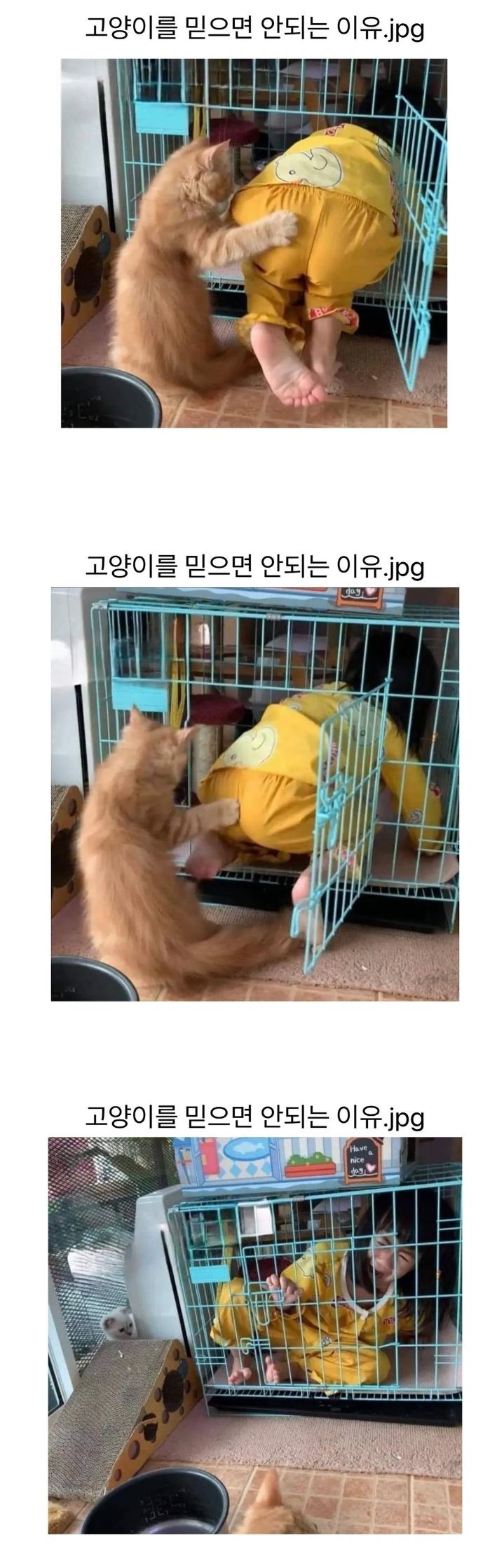 퀘이사존