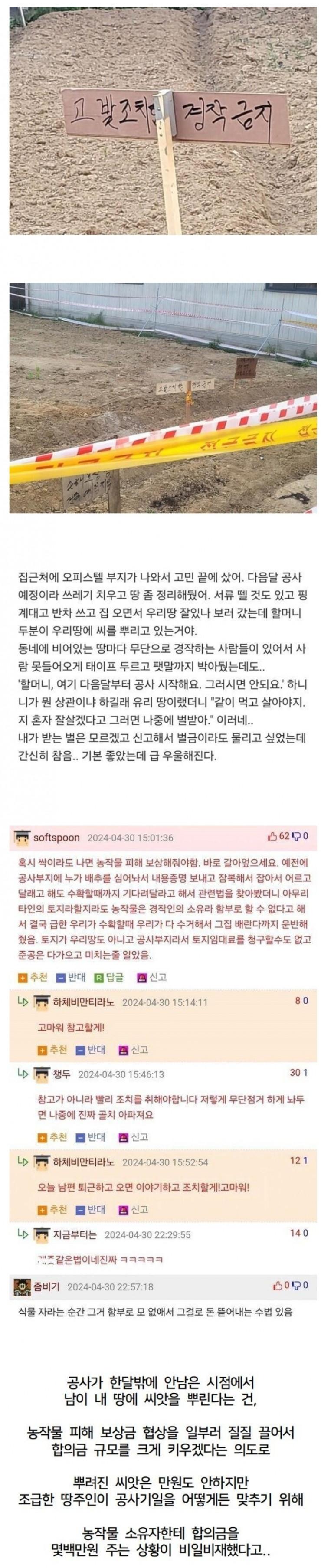 퀘이사존
