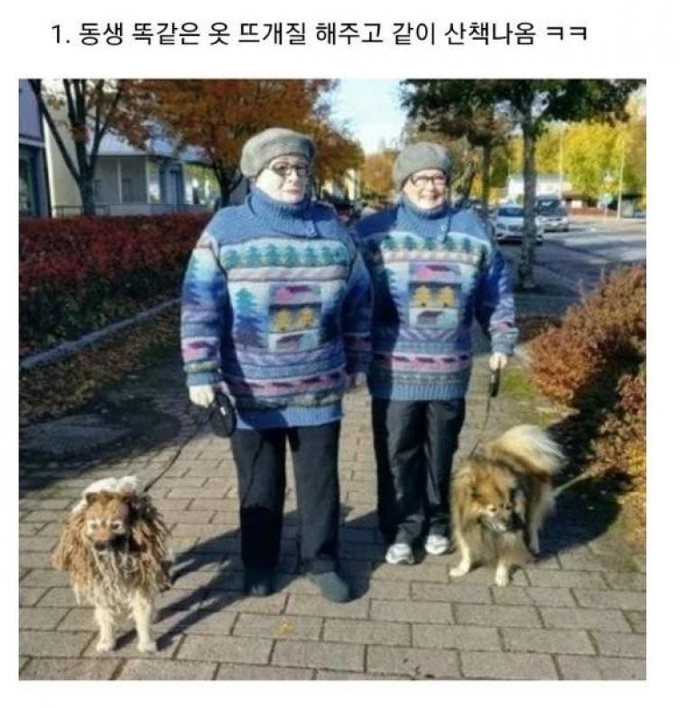 퀘이사존