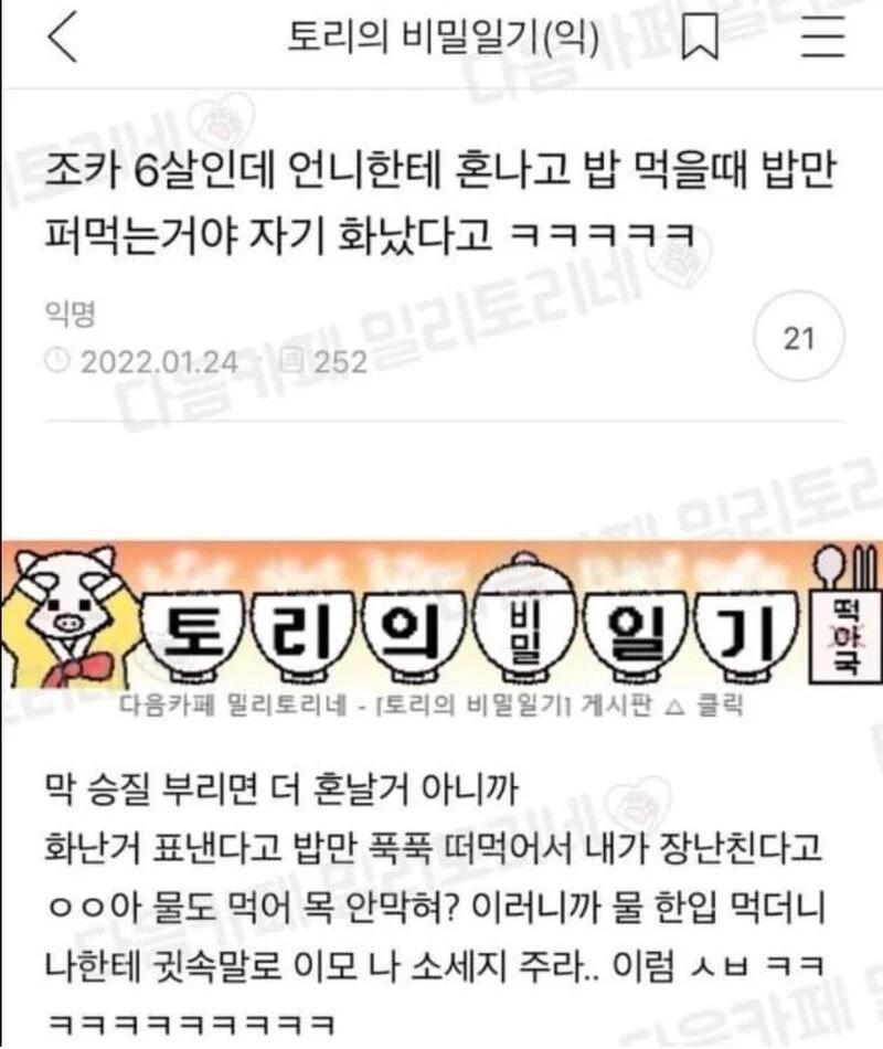 퀘이사존