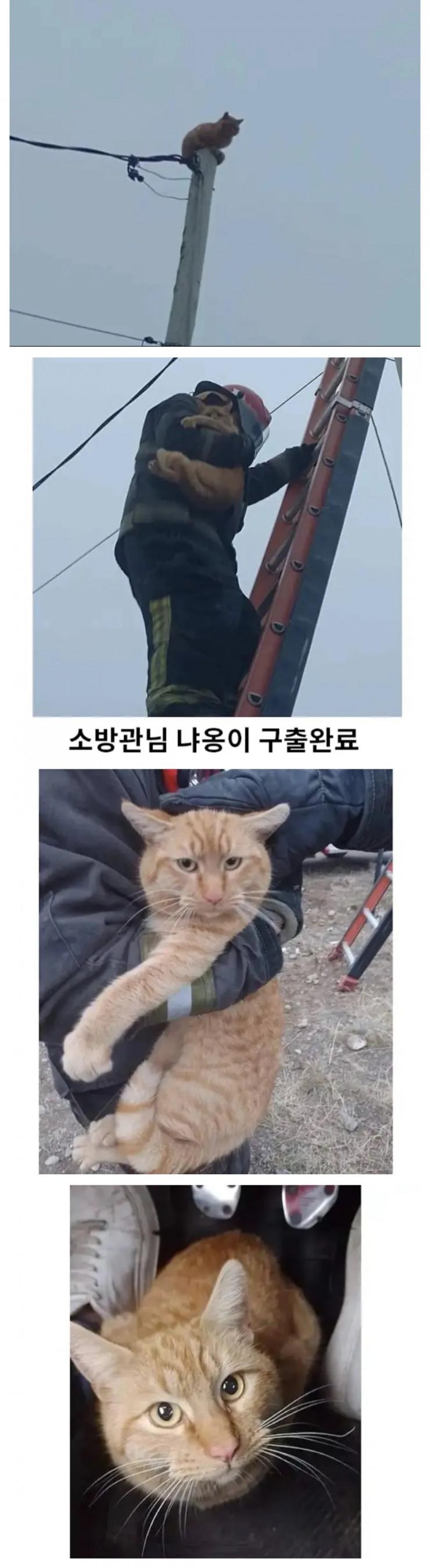 퀘이사존