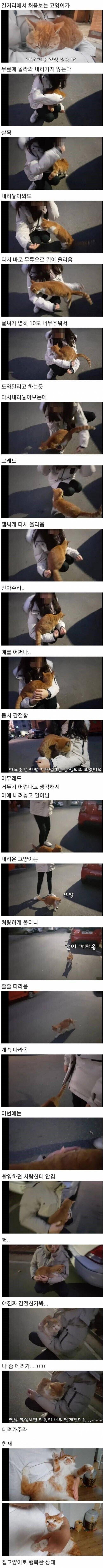퀘이사존